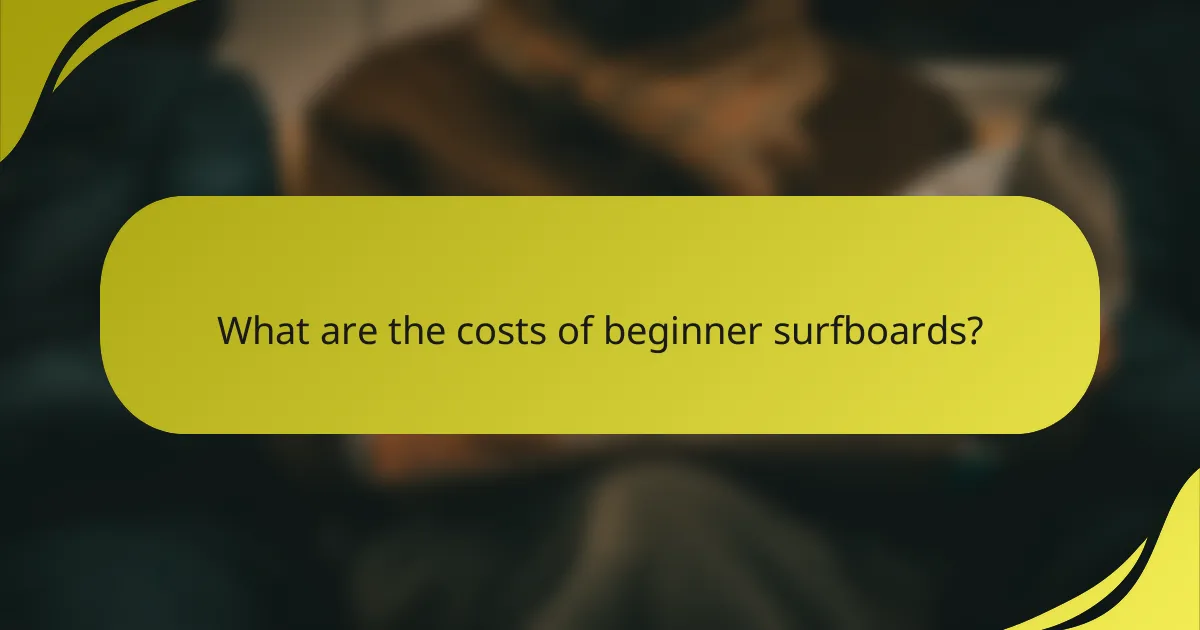 What are the costs of beginner surfboards?