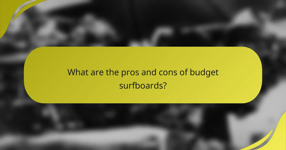 What are the pros and cons of budget surfboards?