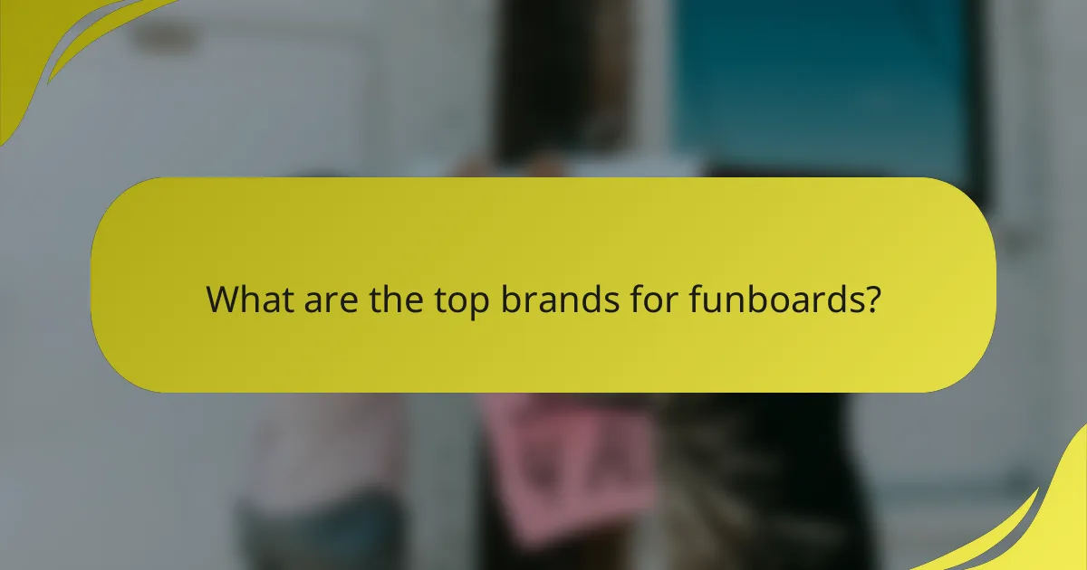 What are the top brands for funboards?